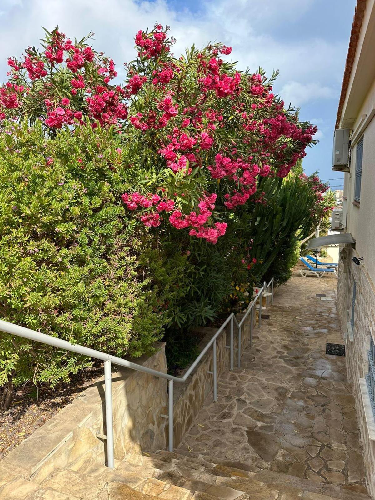 Apartamentos En La Villa Con El Territorio Comun En 卡尔佩 外观 照片